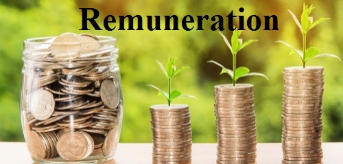 Other Remuneration, Types, Remuneration Vs Salary, Calculated