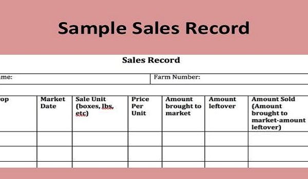 Record of Sales in Law, Advantages & Disadvantages, Types, Importance