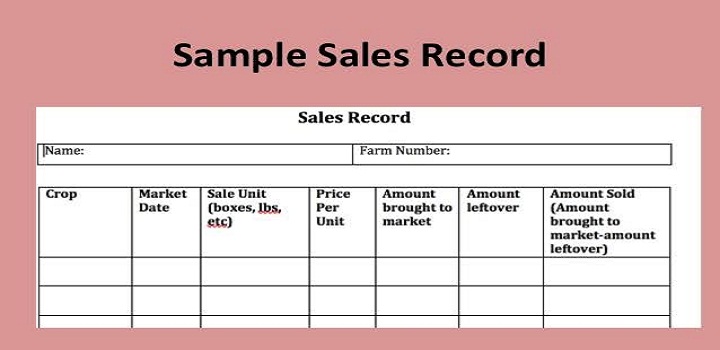 Record of Sales in Law, Advantages & Disadvantages, Types, Importance