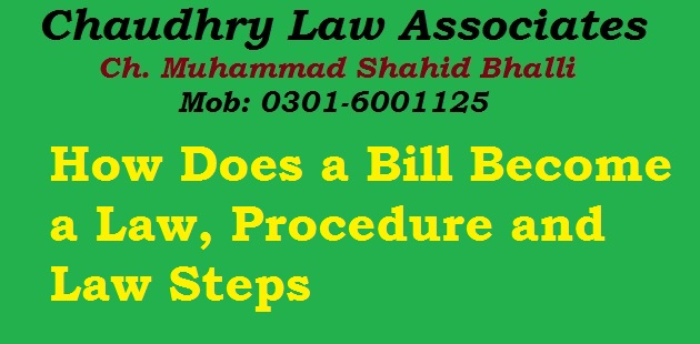 How Does a Bill Become a Law, Procedure and Law Steps
