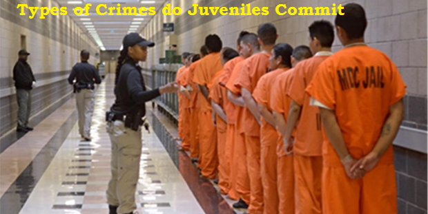 What Types of Crimes do Juveniles Commit