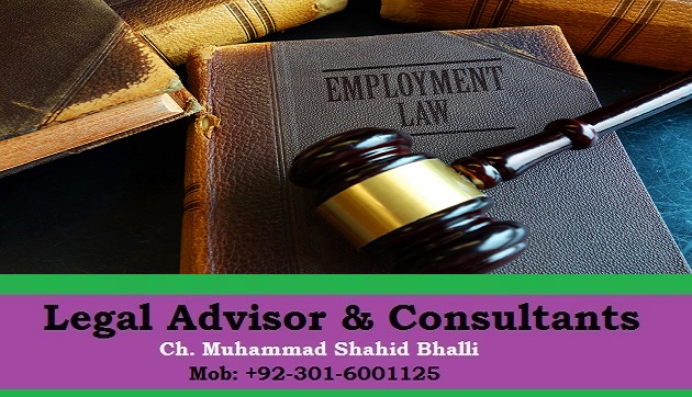 Employment Attorney or Lawyer When Hire, Jobs, Salary, Fees
